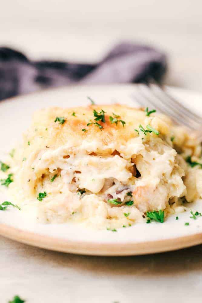 Chicken Alfredo Roll Up on a white plate. 