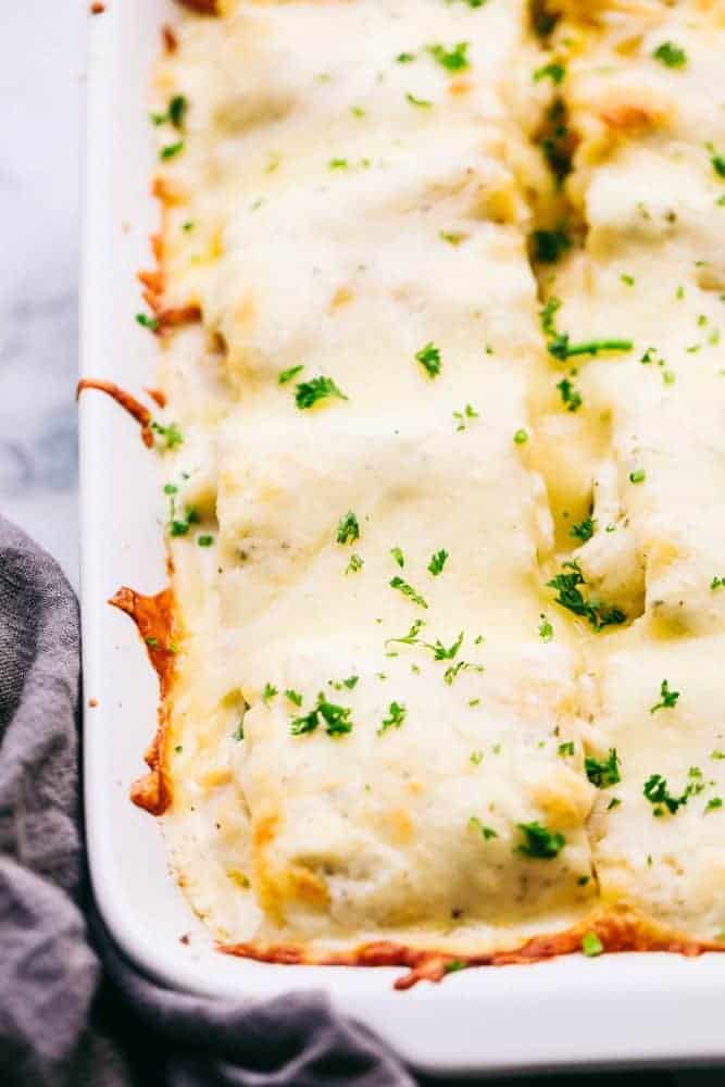 Chicken Alfredo Roll Up in a casserole dish. 