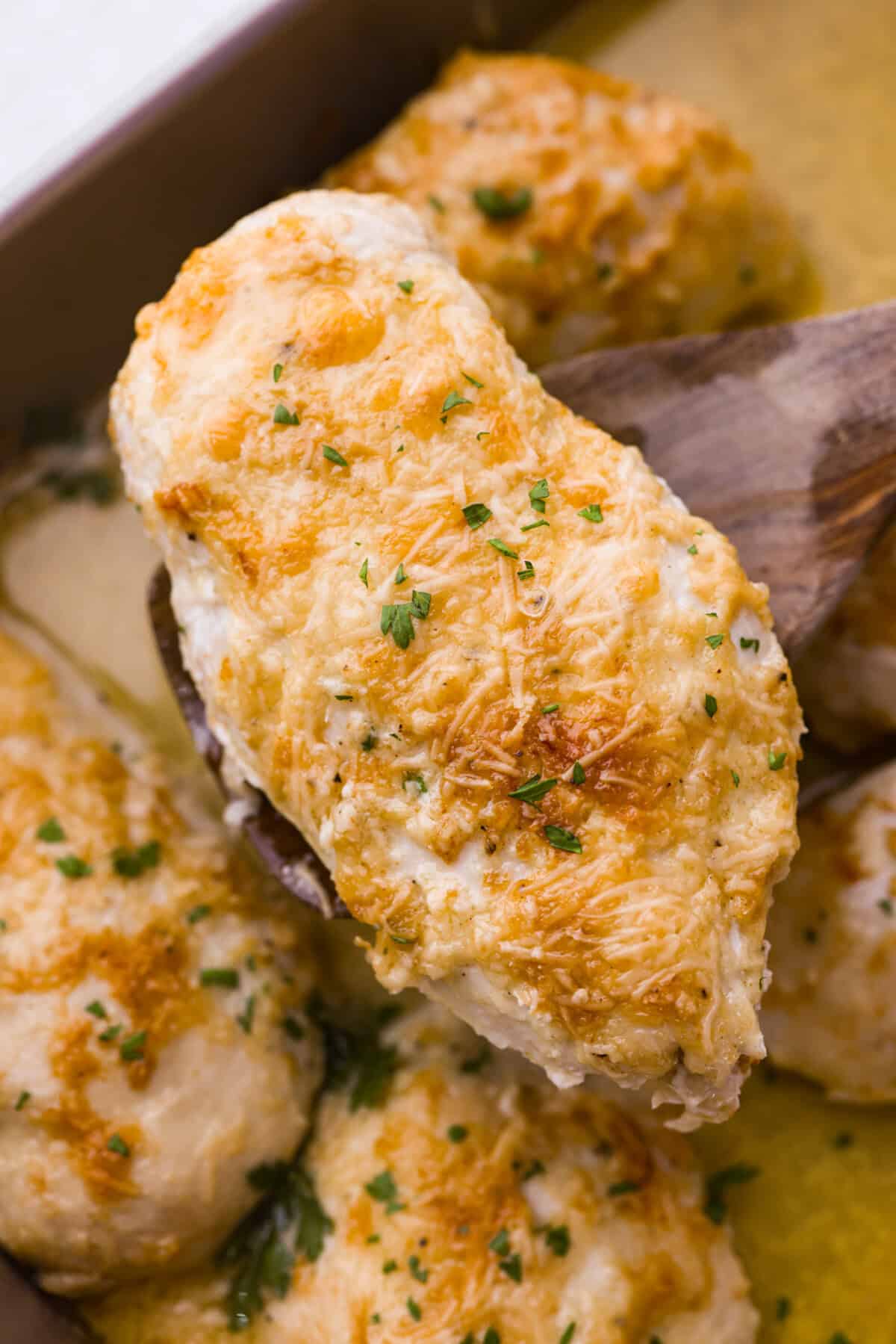 Close up shot of baked parmesan chicken. 