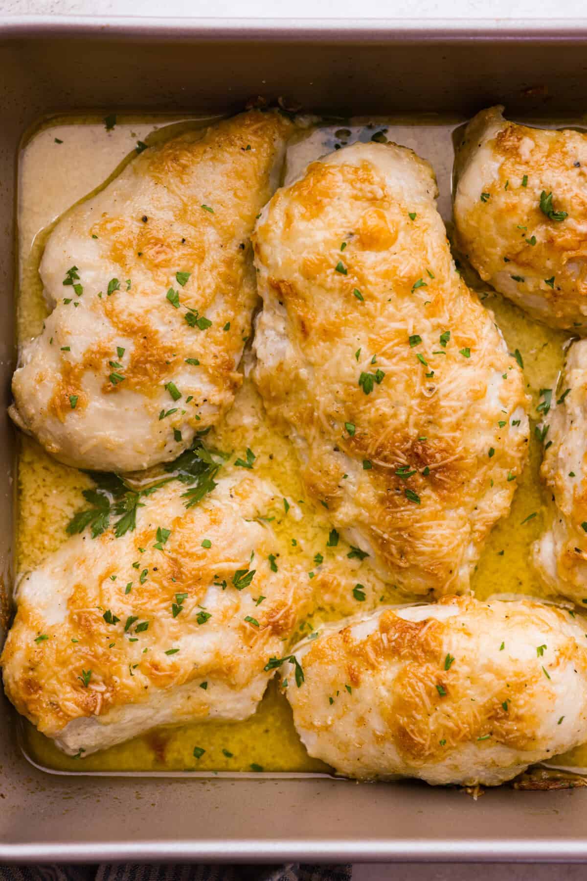 Overhead shot of baked parmesan chicken in pan. 