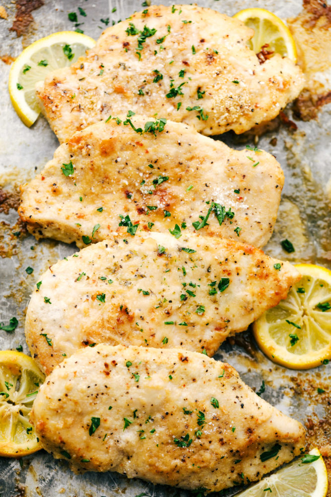 Baked Parmesan Garlic Chicken on a pan with lemon slices garnished around it. 