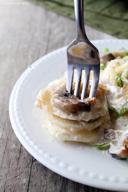 Potato and Mushroom Gratin bite on a fork by Love Grows Wild for The Recipe Critic