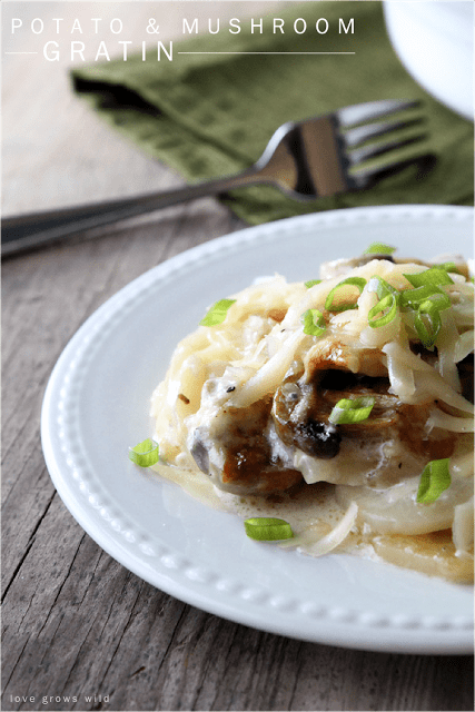 Potato and Mushroom Gratin on a white plate by Love Grows Wild for The Recipe Critic