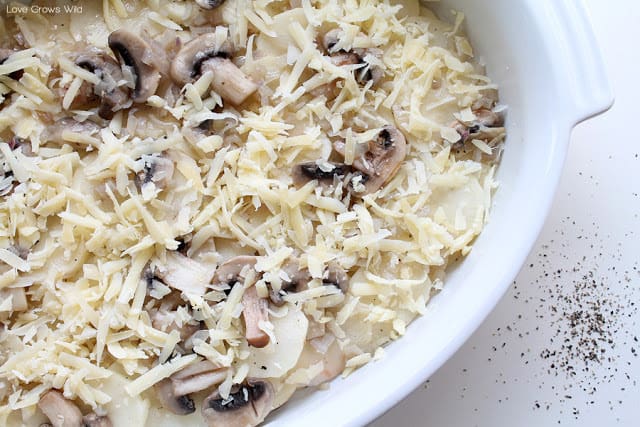 Potato and Mushroom Gratin ready to be put in the oven by Love Grows Wild for The Recipe Critic