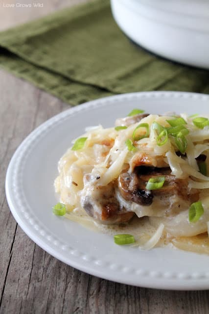 Plate of potato and Mushroom Gratin by Love Grows Wild for The Recipe Critic