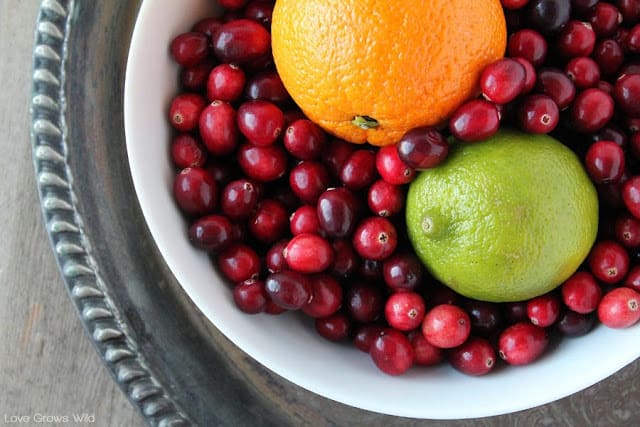 Cranberries in a large white bowl with an orange and lime.