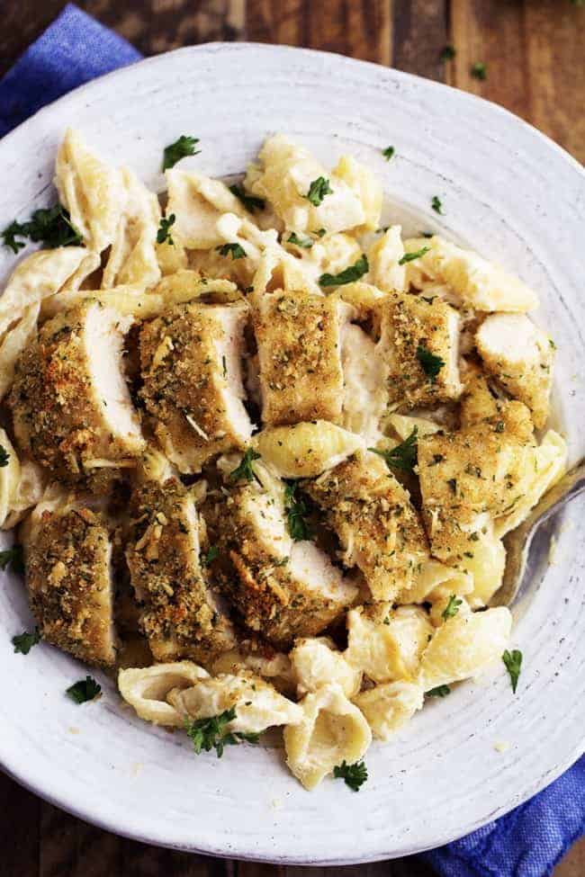 creamy garlic alfredo on a white plate.