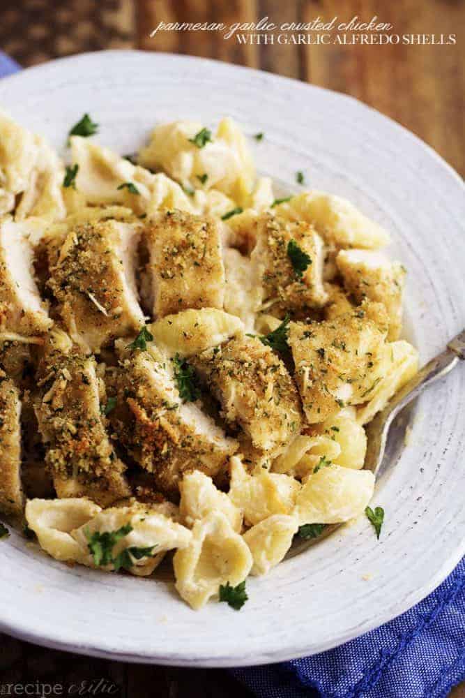 parmesan garlic crusted chicken with creamy garlic alfredo shells on a white plate.