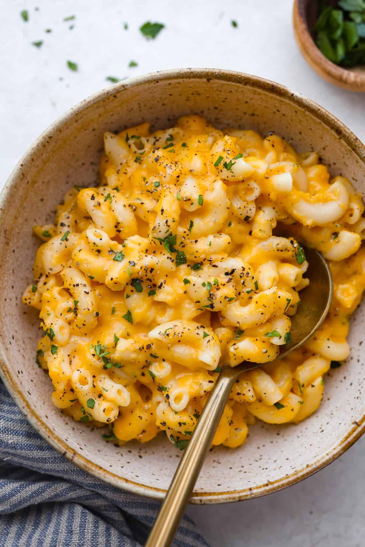 Overhead shot of plated cheesy butternut squash pasta. 