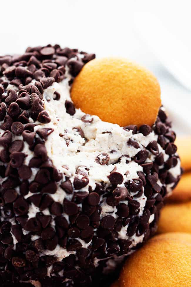 Cannoli Cheeseball with Vanilla Waffers