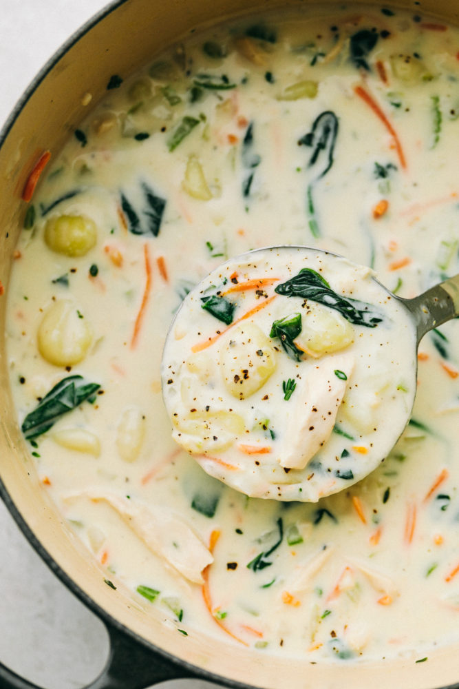 Pot full of chicken gnocchi soup with a ladle. 