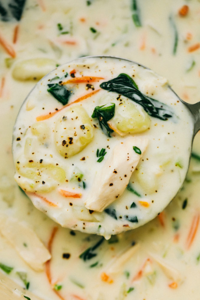 Chicken gnocchi soup with a ladle. 