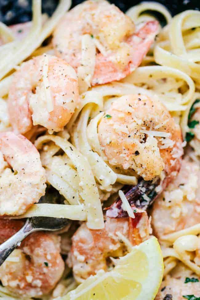 Creamy Parmesan Garlic Shrimp Pasta on a fork.