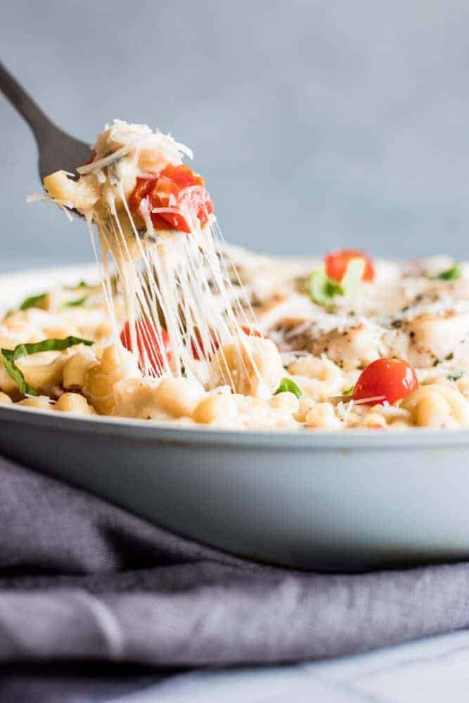 Chicken Caprese Macaroni and Cheese in a white bowl with a fork.