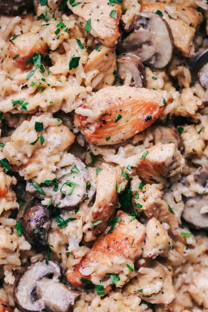 Close up of Creamy Parmesan Chicken with Mushroom Rice. 