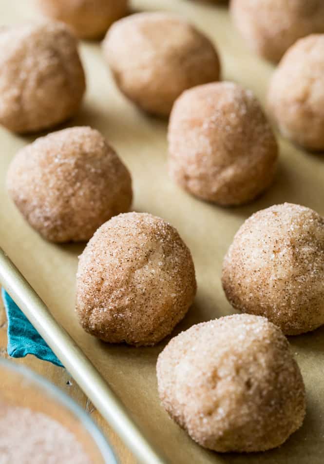 Cream Cheese Snickerdoodle Cookie Dough.