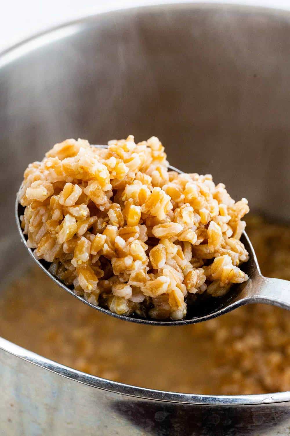 spoon of farro over the stovetop