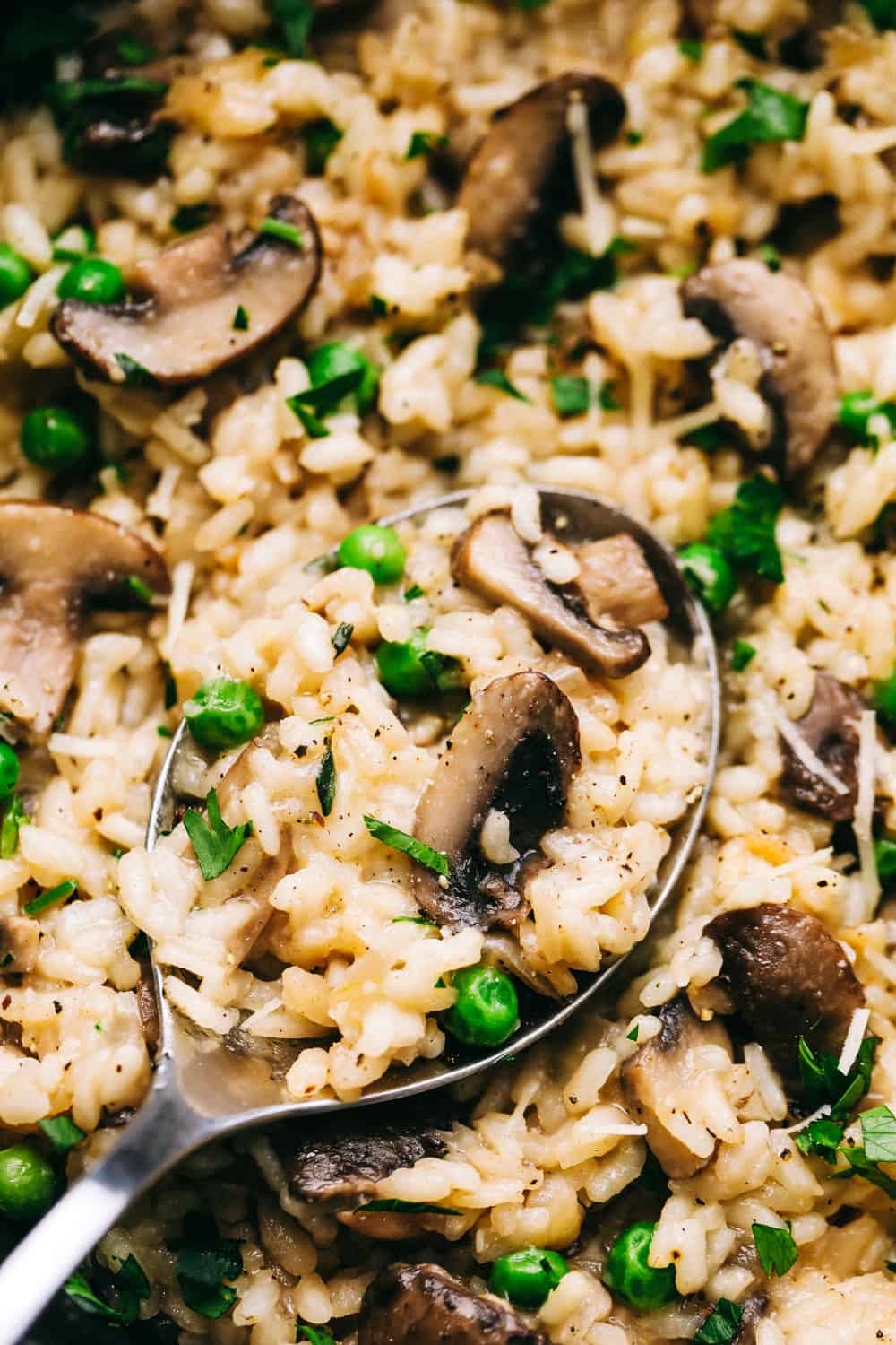 Close up on mushroom risotto.