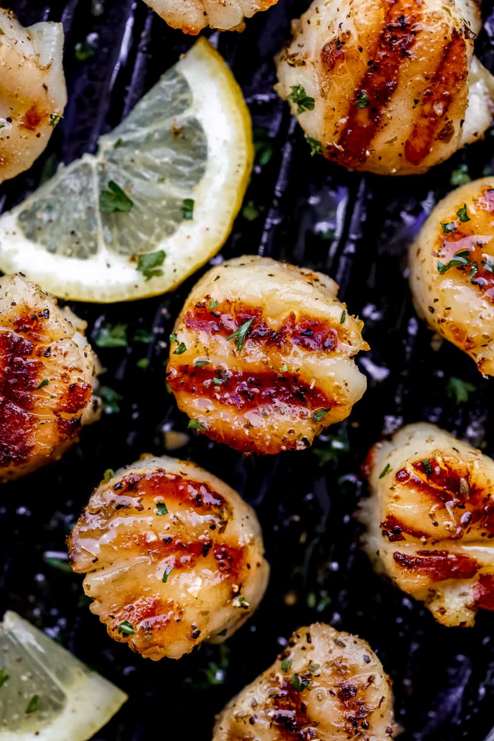 grilled lemon garlic scallops 