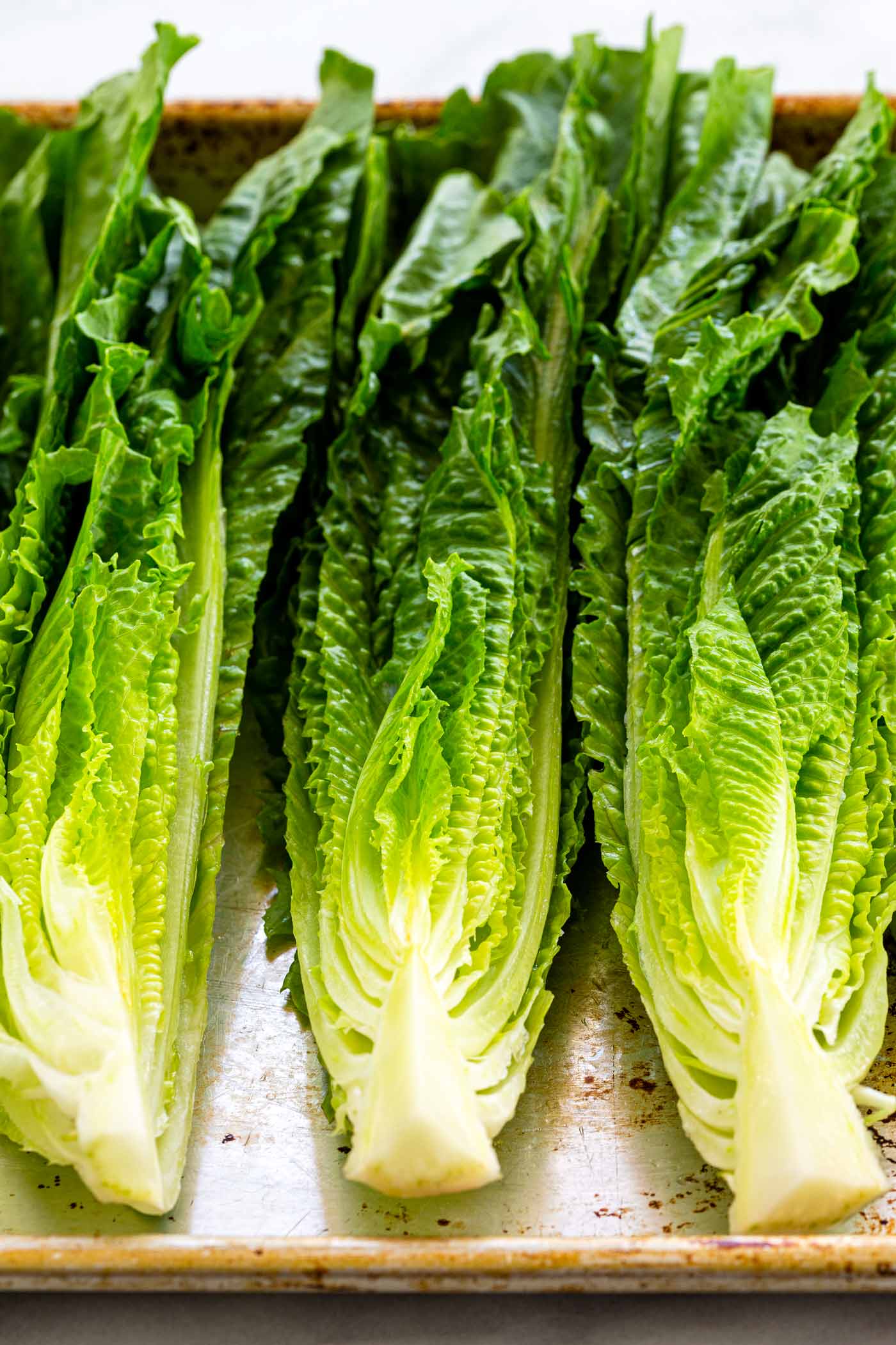 romaine lettuce