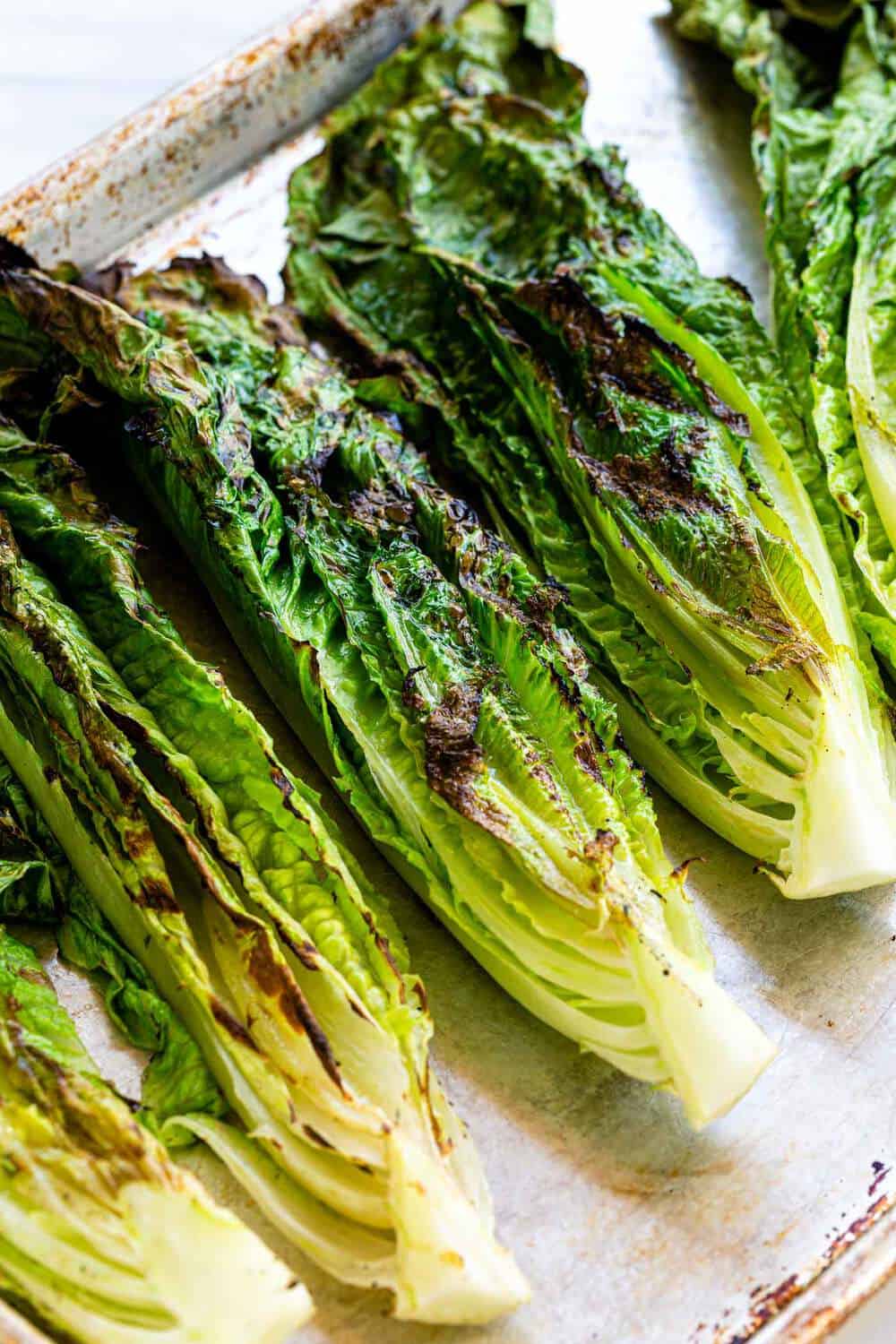 grilled romaine