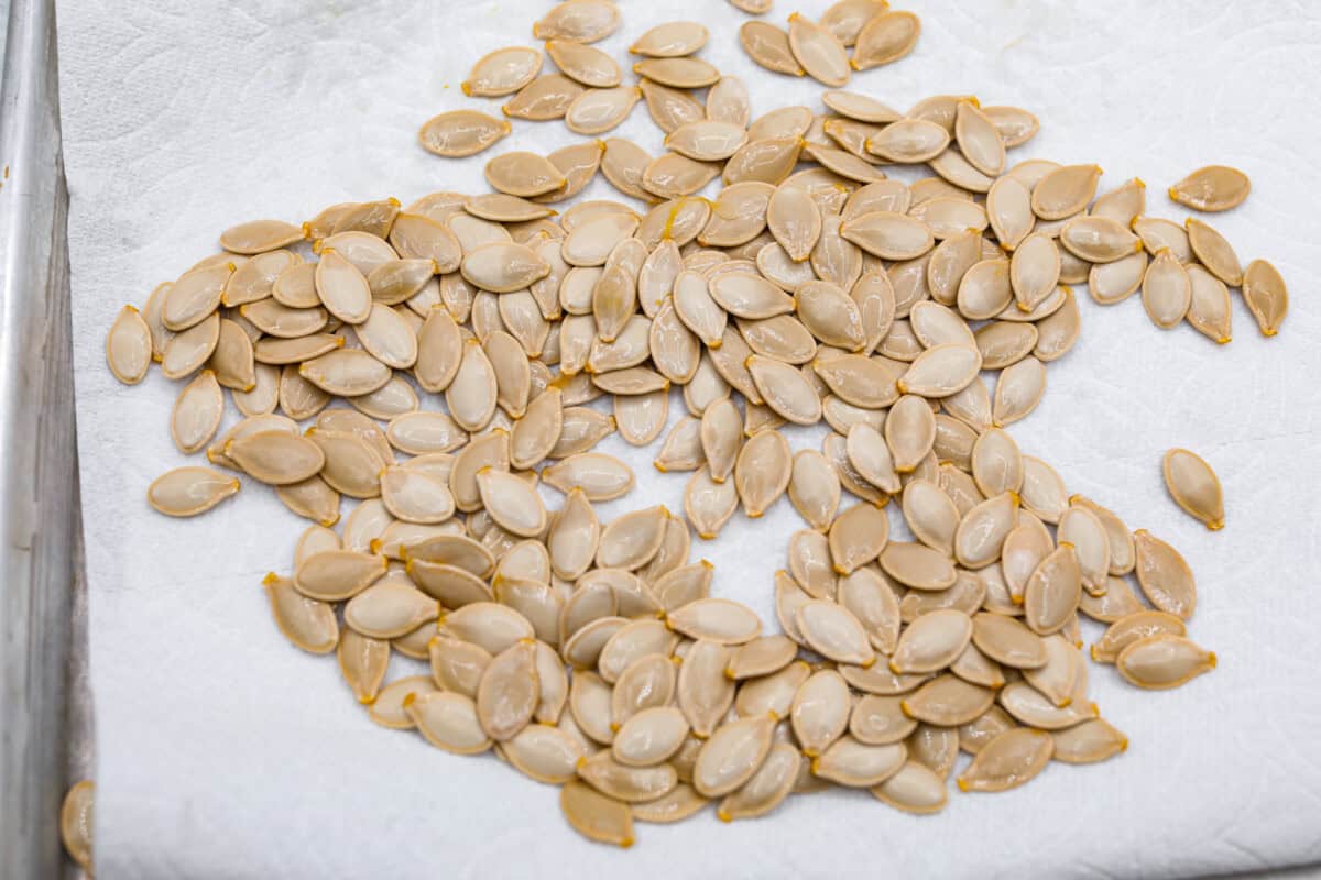 Overhead shot of seeds drying on a paper towel.