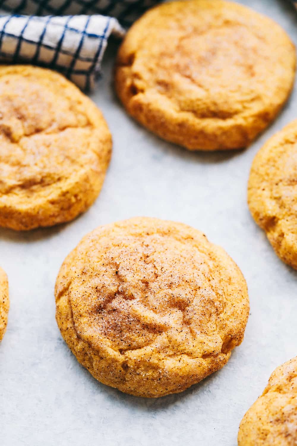 soft and puffy pumpkin snickerdoodles baked