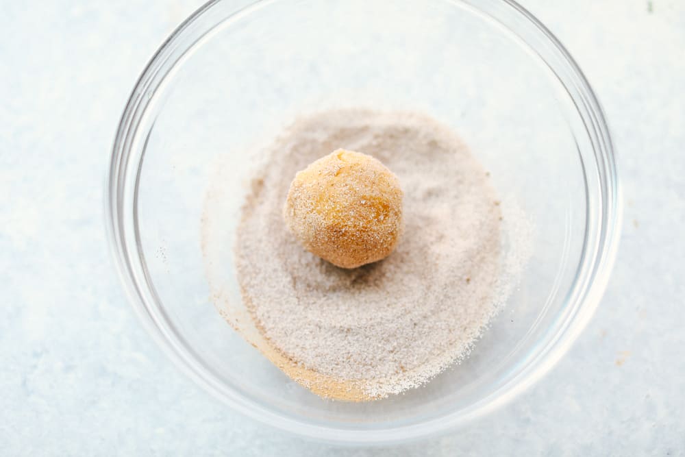 dough rolled in cinnamon and sugar mixture 