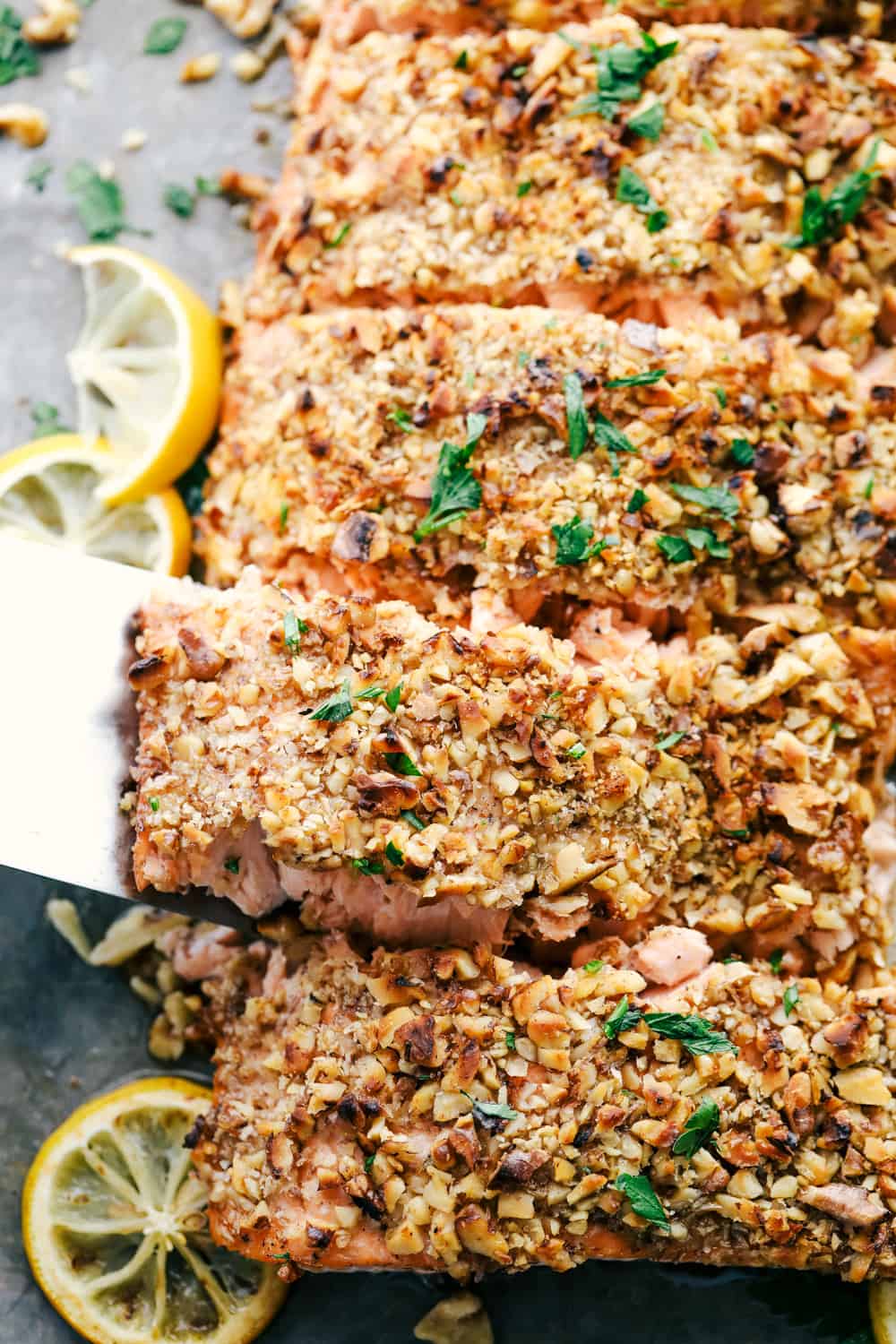 Walnut crusted maple salmon cut into sections and being separated. 