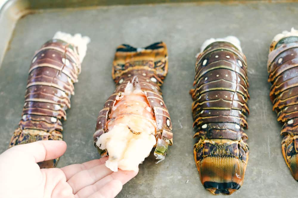 Lobster tails for cooking on a cookie tray. 