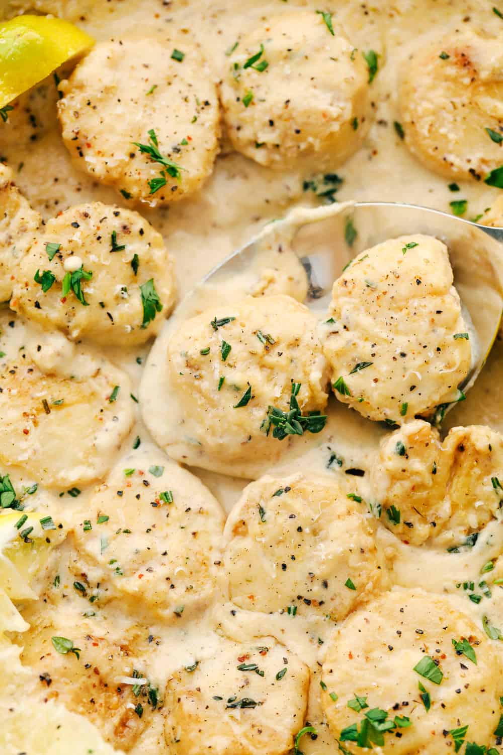 Creamy lemon parmesan scallops photo with a spoon. 