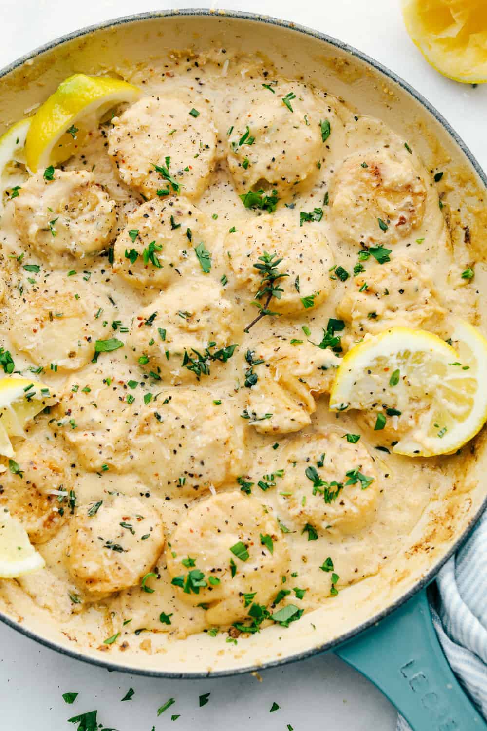 Creamy lemon parmesan scallops in a pan with lemon slices. 