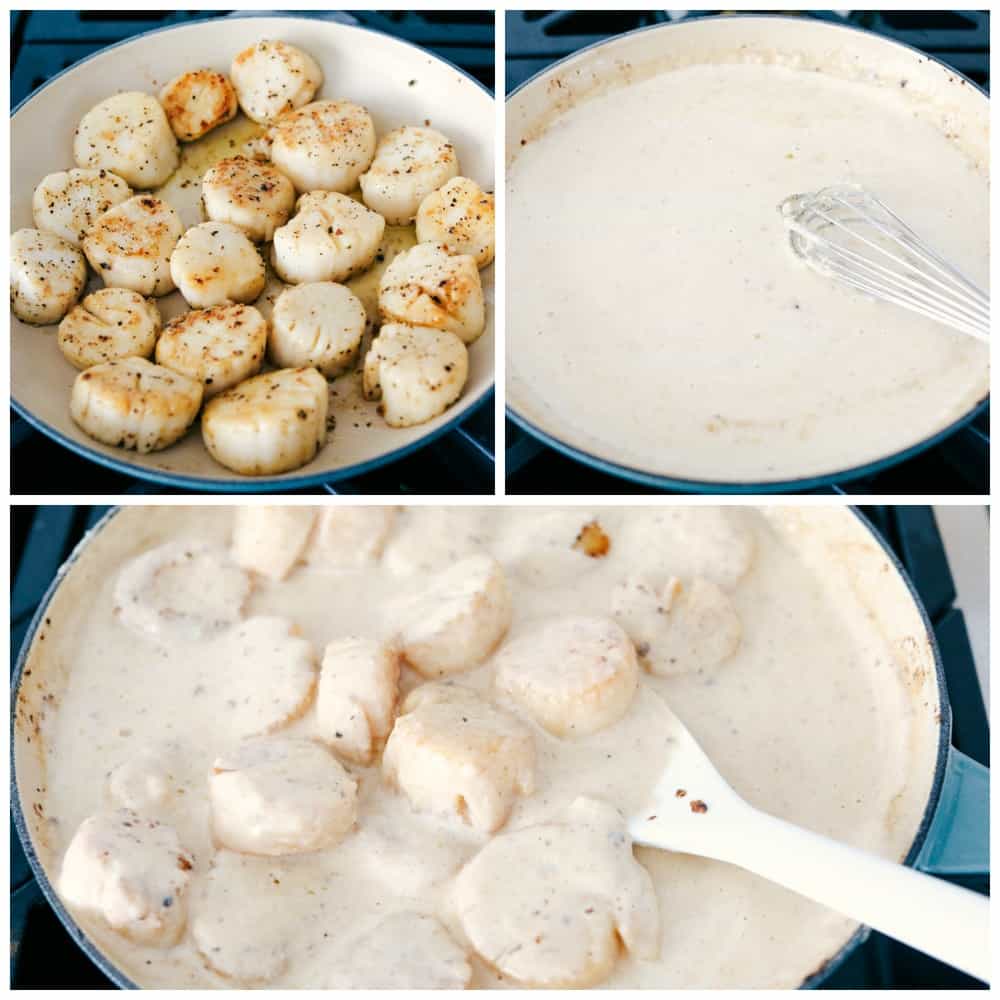 Creamy lemon parmesan scallop process photos of the scallops searing, making the sauce and adding the scallops into the sauce all while being cooked. 