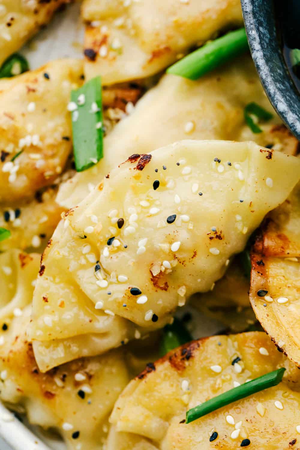 Chicken potstickers up close photo garnished with sesame seeds and scallions. 