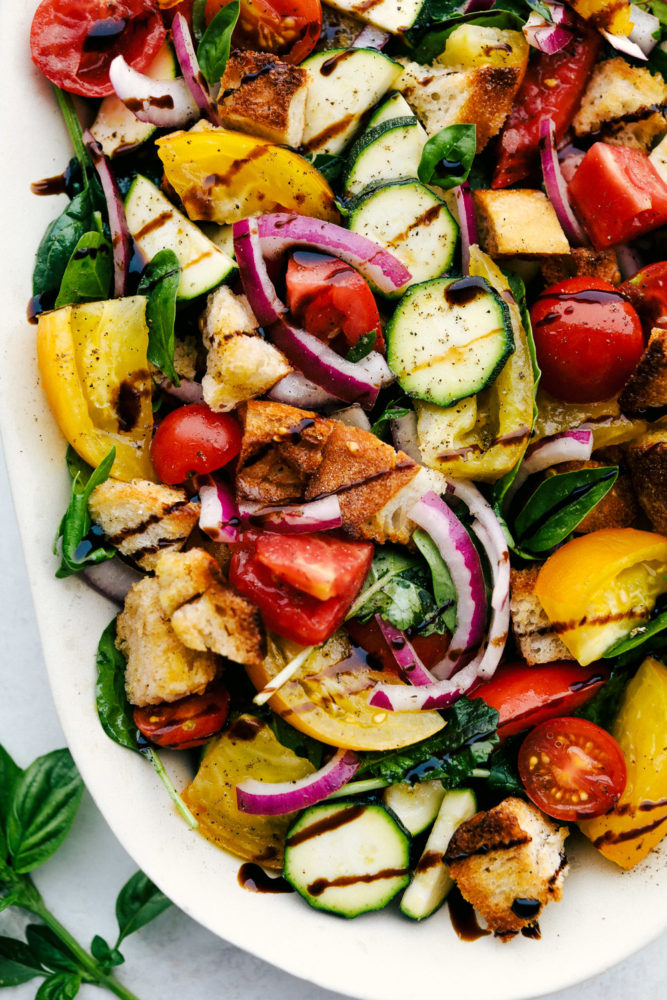 A up close photo of Panzanella Salad on a white dish. 