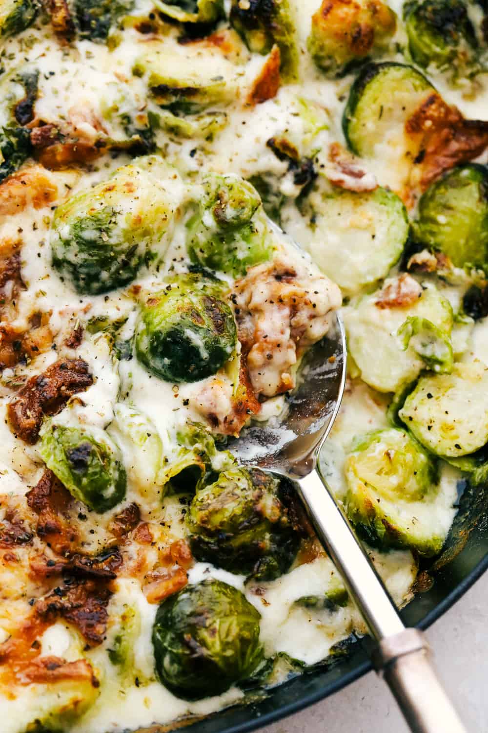 Cheesy Creamy Parmesan Brussel Sprouts Gratin with Bacon.