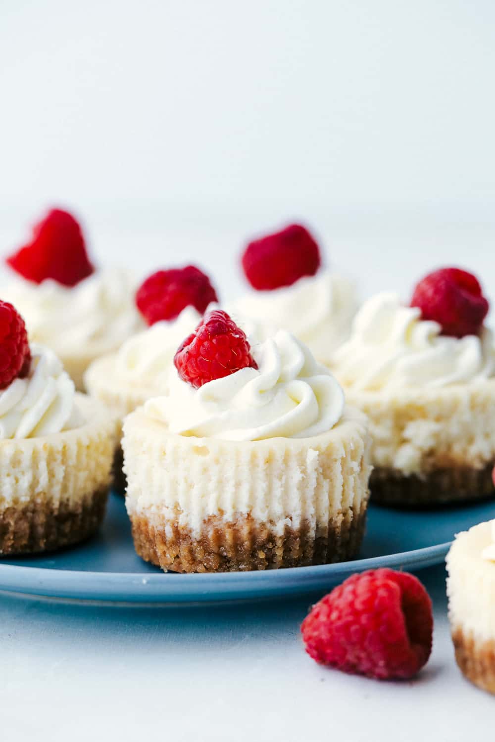 Mini cheese cakes on a plate with fresh raspberries. 