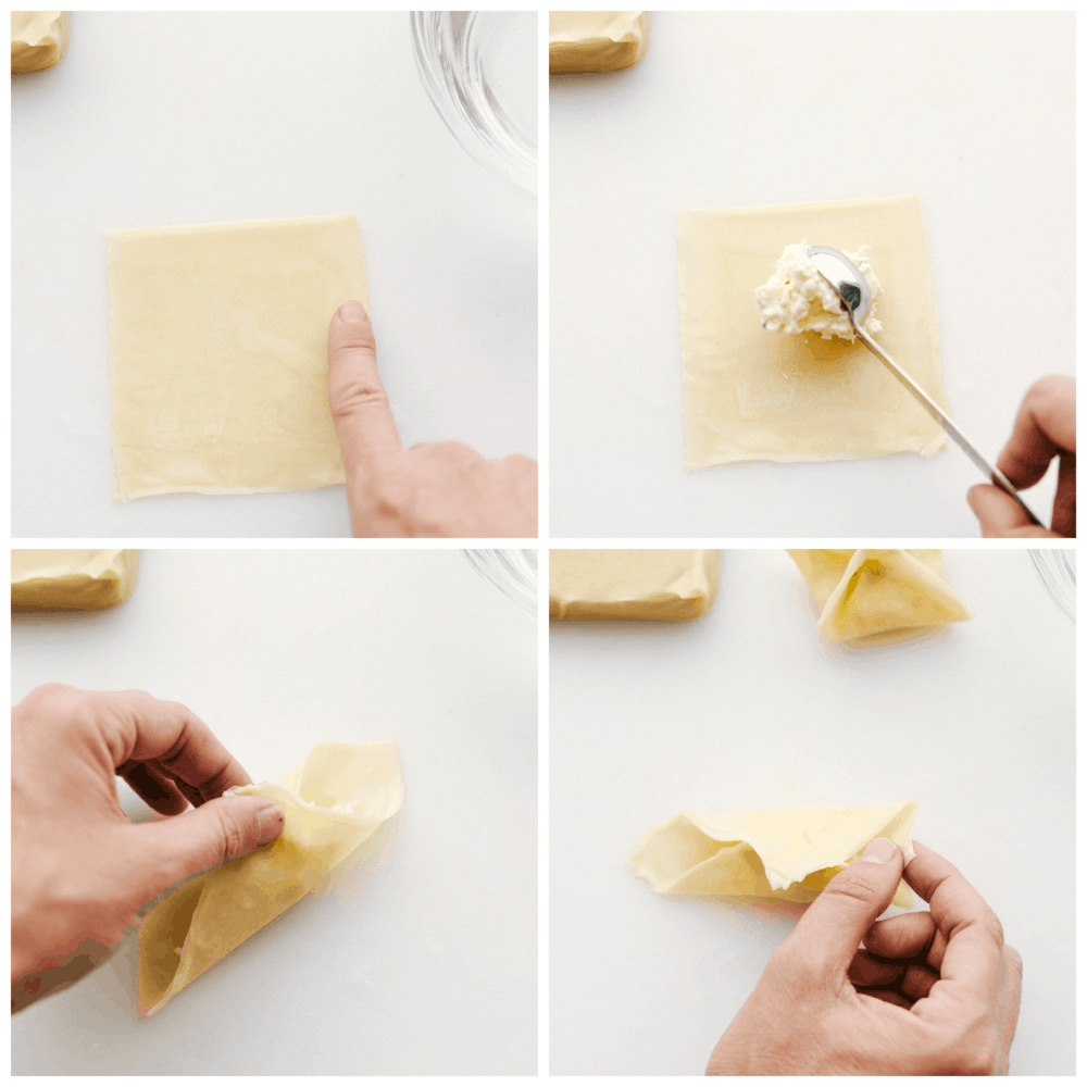 How to fill and fold wontons. 