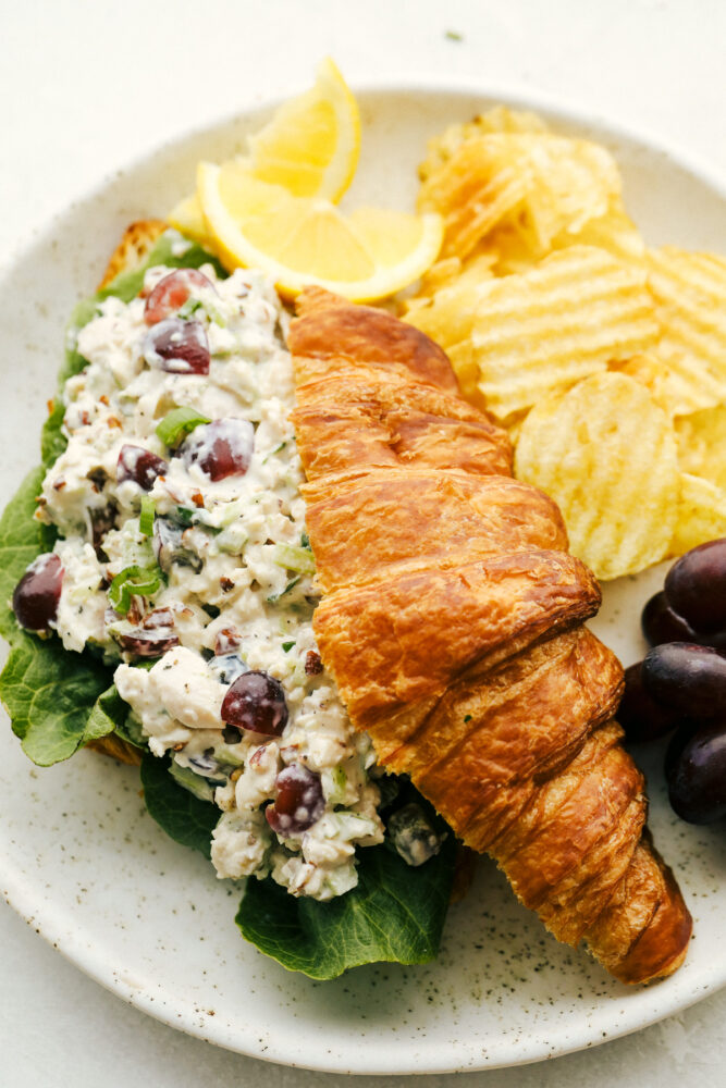 Chicken salad on a croissant with chips on a plate. 