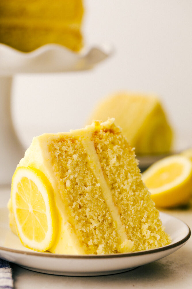 A slice of cake with a lemon garnish on a plate. 