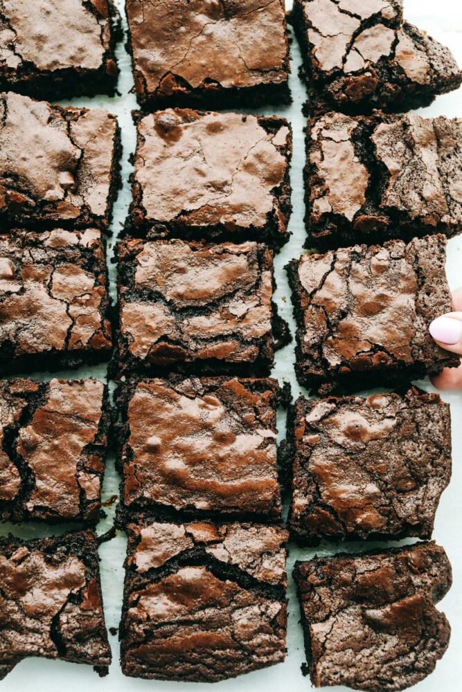 Cut squares of brownies ready to eat. 