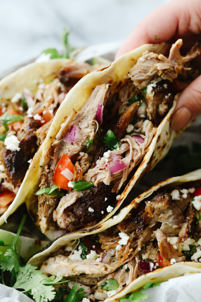 A hand holding a pork carnita taco. 