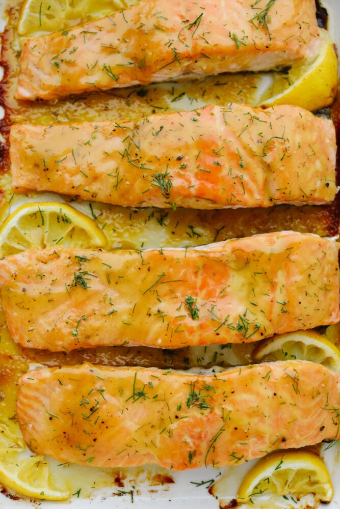 Close up of baked honey mustard salmon. 