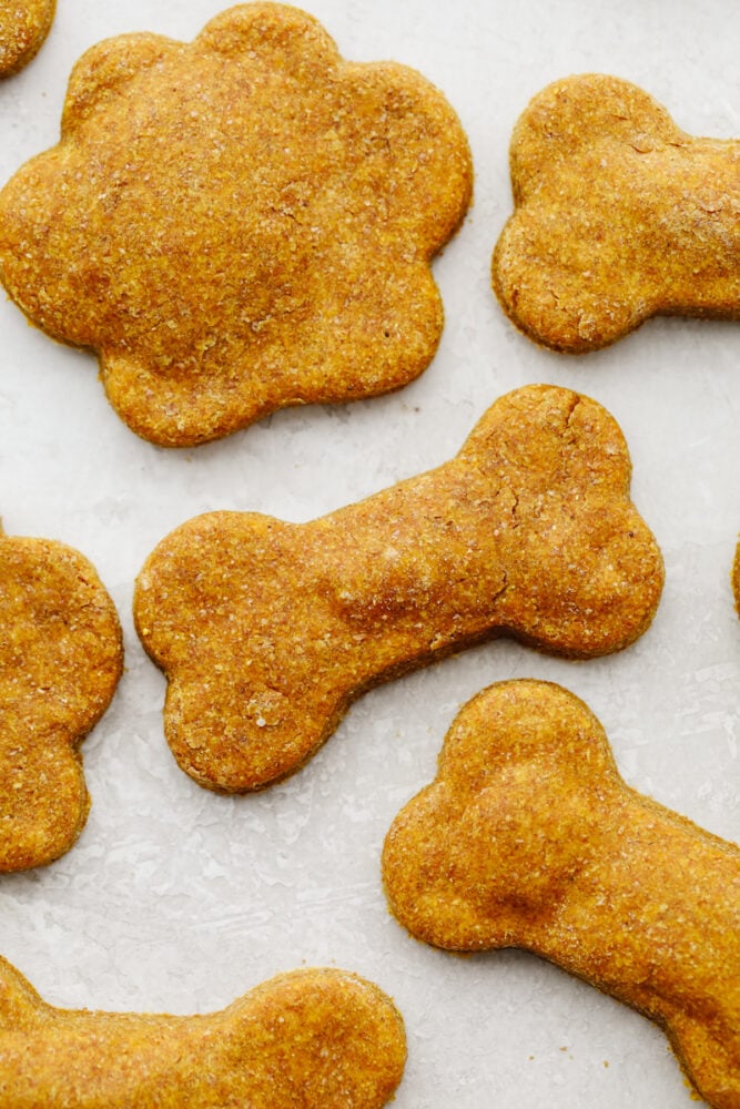 Closeup of dog treats.