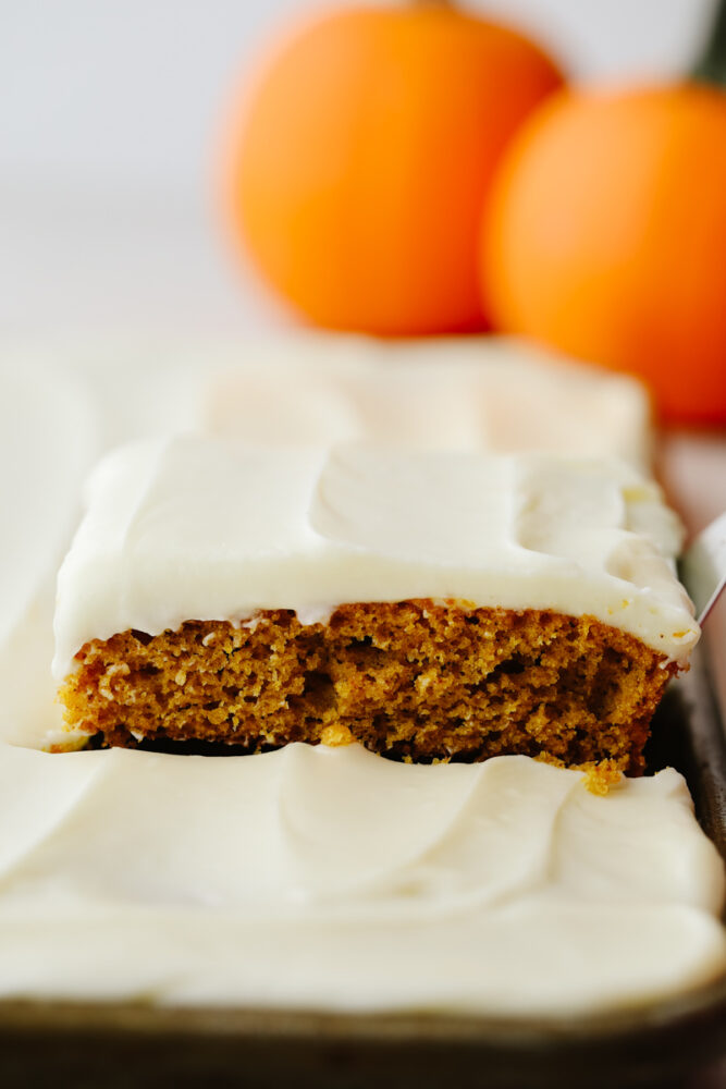 Pumpkin spice sheet cake being served from a baking sheet. 