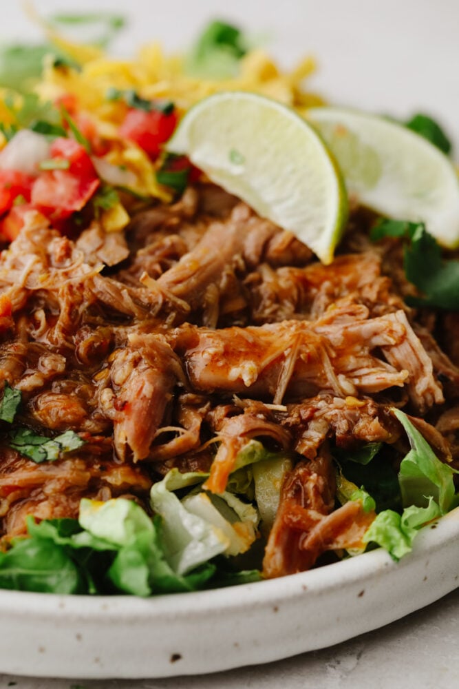 A close up of shredded pork on a salad with toppings. 