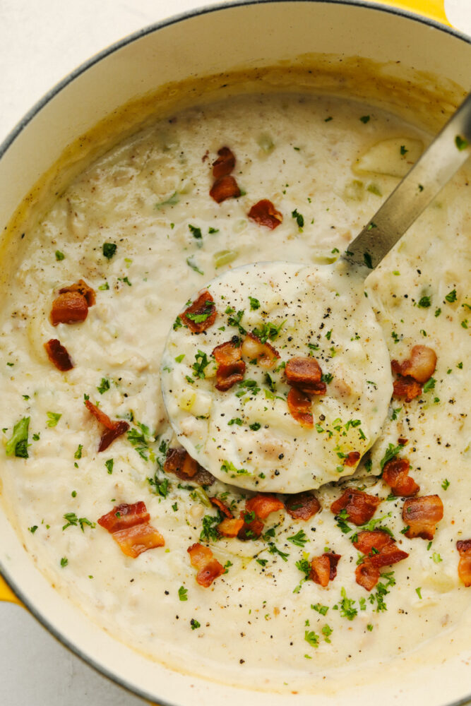 A ladle being dipped into chowder. 