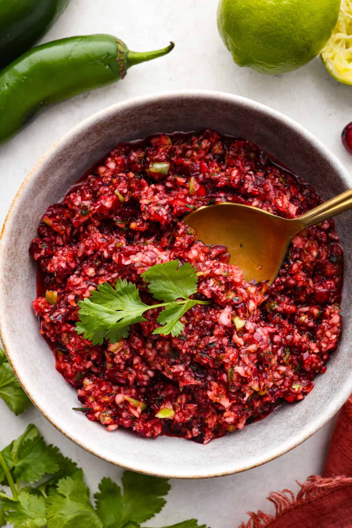 Overhead shot of cranberry salsa in a bowl with gold spoon. 