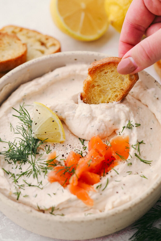 A crostini slice being dipped into smoked salmon dip. 