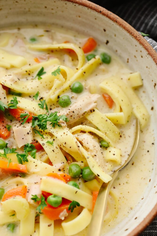 Closeup of turkey noodle soup.